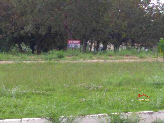 Terreno para Venda em Palmas - 5